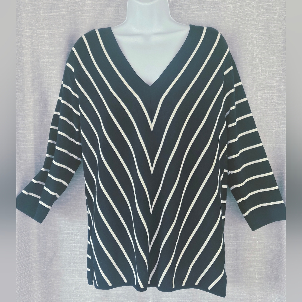 Talbots Dark Navy and Cream V-Neck Sweater